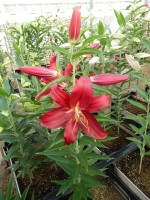 [5578 VH08 Budapest No01.JPG]